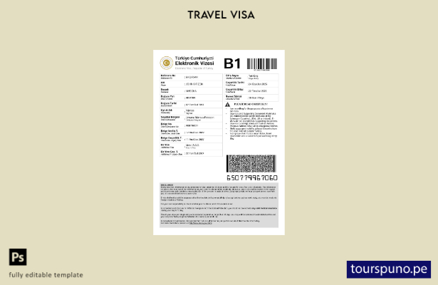 Plantilla de visa electrónica para Turquía lista para imprimir en formatos Word 